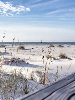 Alabama Gulf Coast